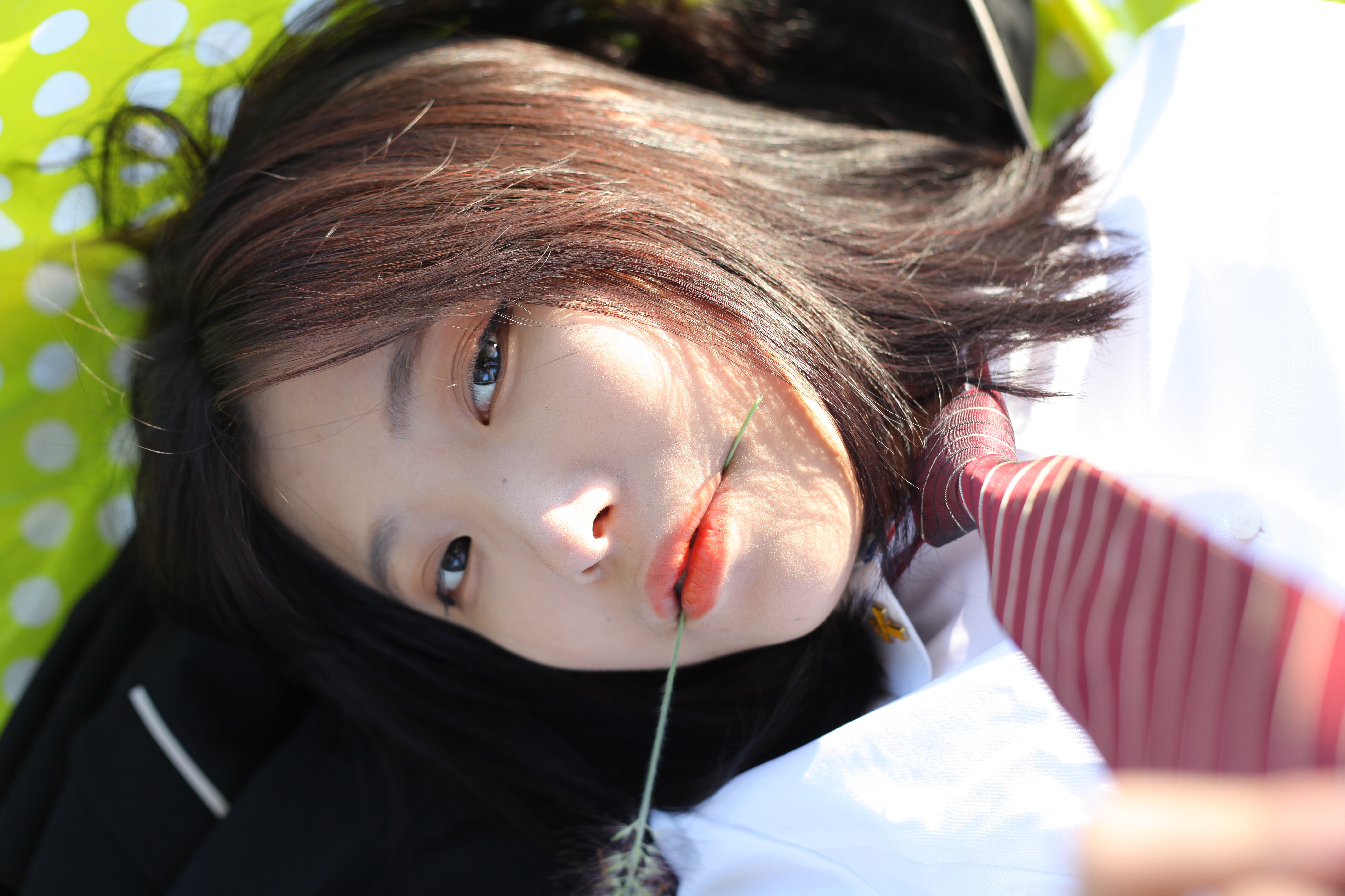 미분류 / 고아(희원) (782)s(2.26GB)